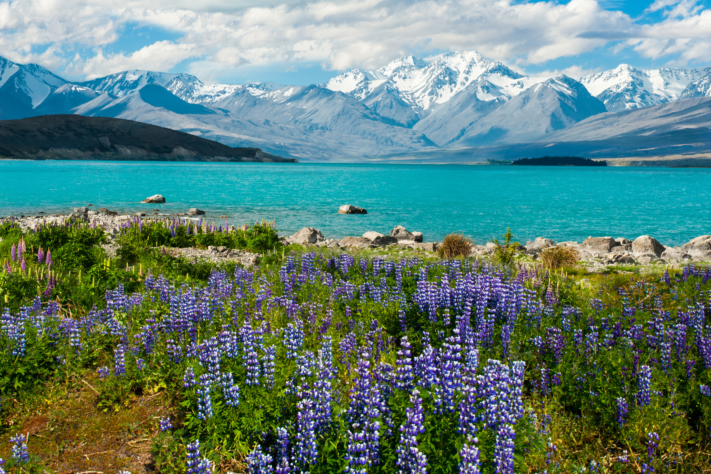 lake tekapo (2).webp